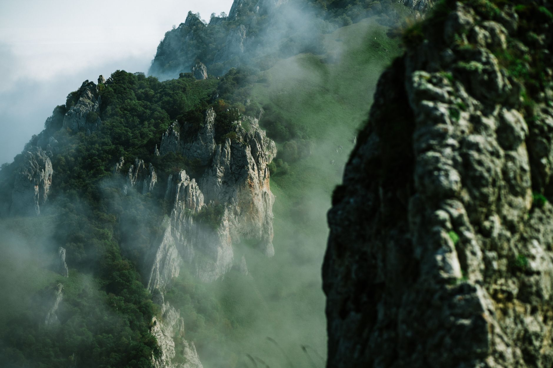 Bosque denso y cresta montañosa en la Cordillera Cantábrica, norte de España