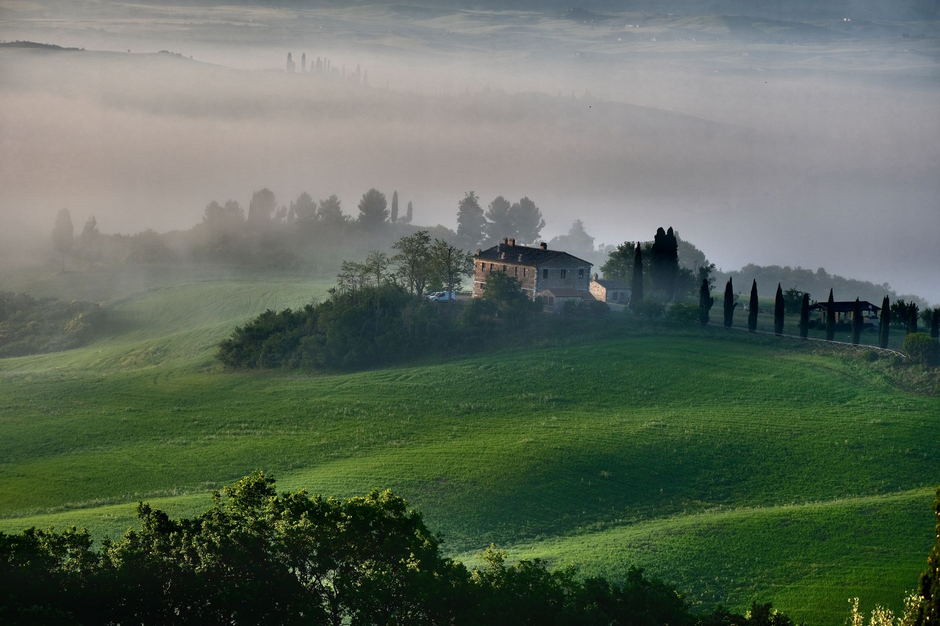 Morning mist over an Andalusian hunting estate with open pasture and oak trees