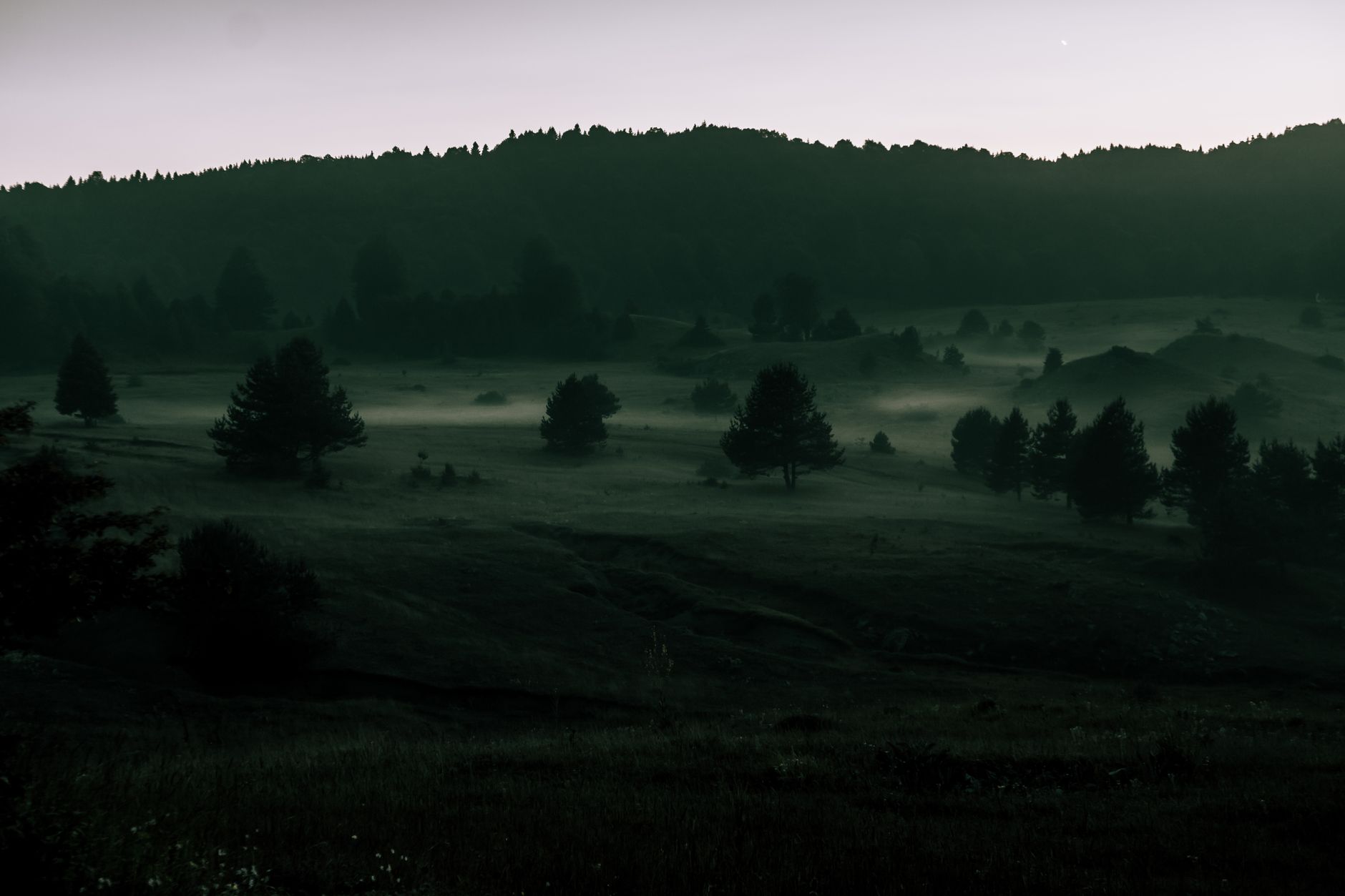 Misty morning over Spanish forest and countryside in a regional hunting area