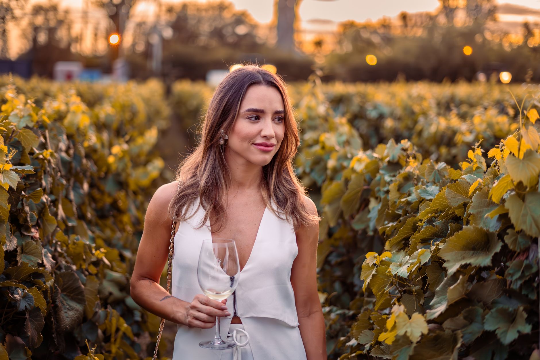 Visitantes en una bodega rural española durante una cata de vinos en otoño