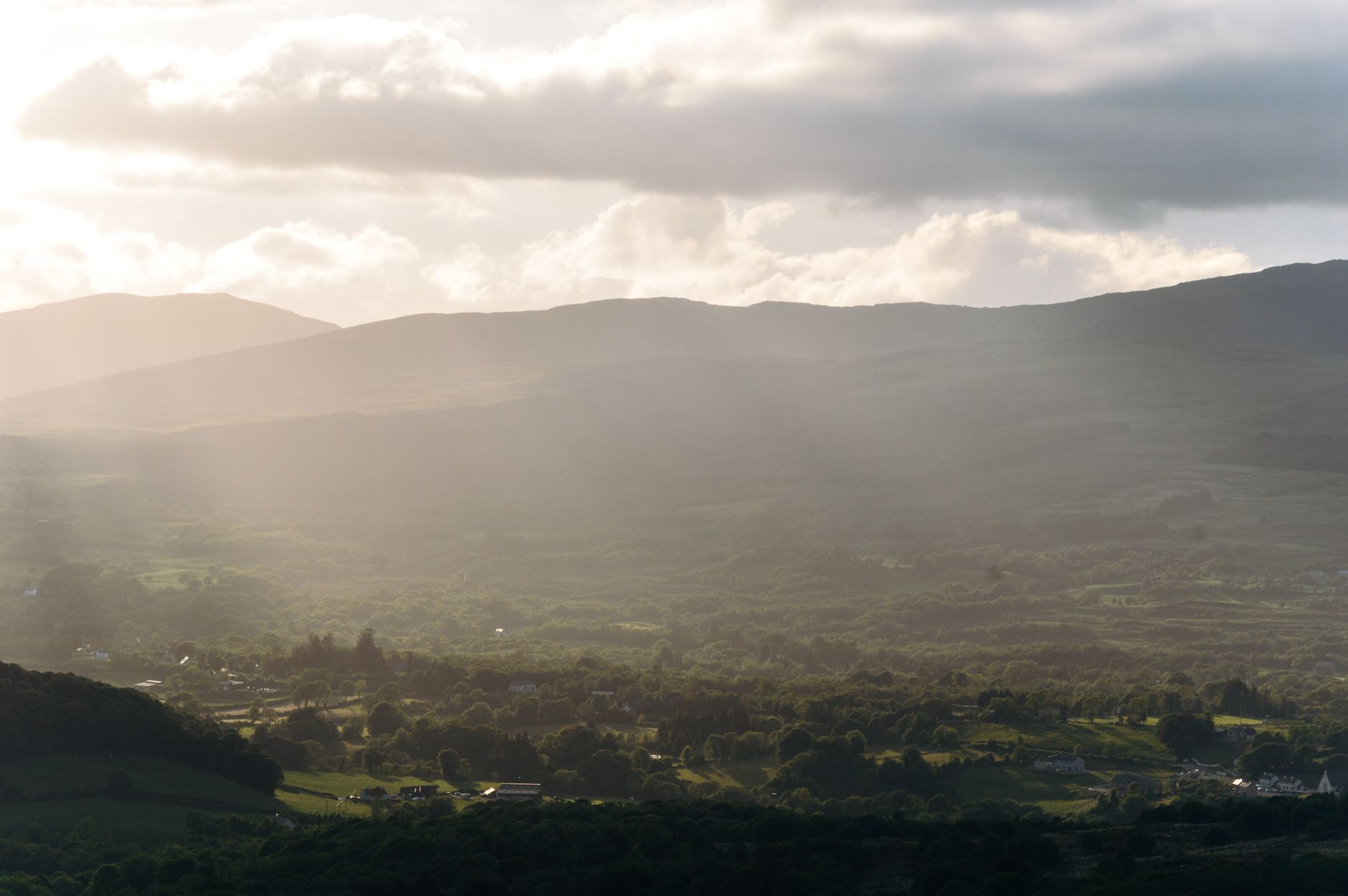 Green valley in Cantabria at first light, classic roe deer country in northern Spain