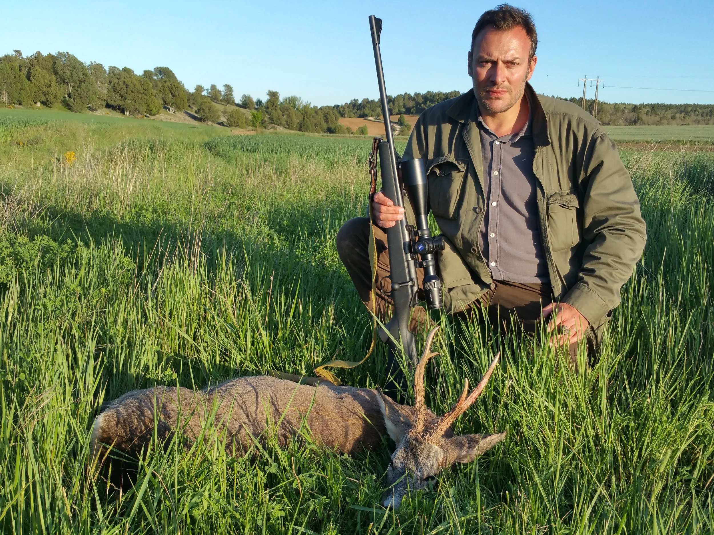 Roe Deer — Across Spain (1)