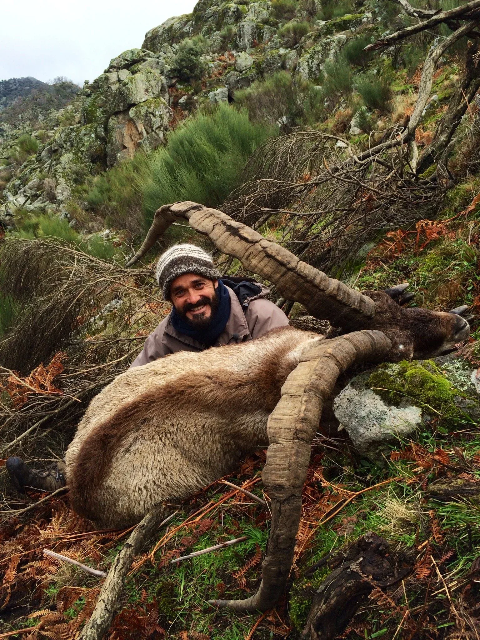 Spanish Ibex Grand Slam — Beceite, Gredos, Ronda and Sierra Nevada (3)
