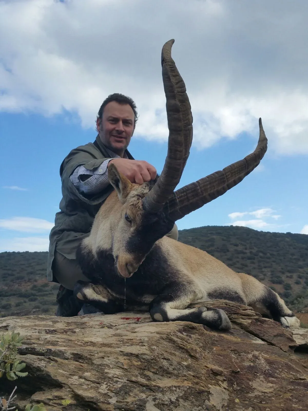 Spanish Ibex Grand Slam — Beceite, Gredos, Ronda and Sierra Nevada (4)
