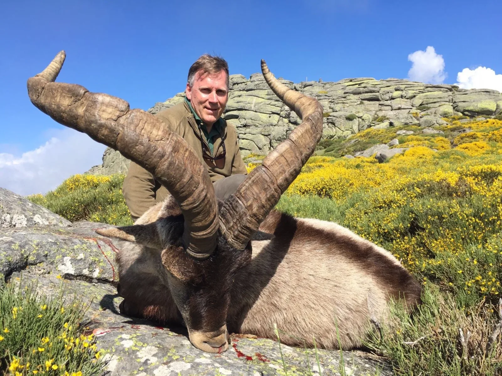 Spanish Ibex Grand Slam — Beceite, Gredos, Ronda and Sierra Nevada (6)