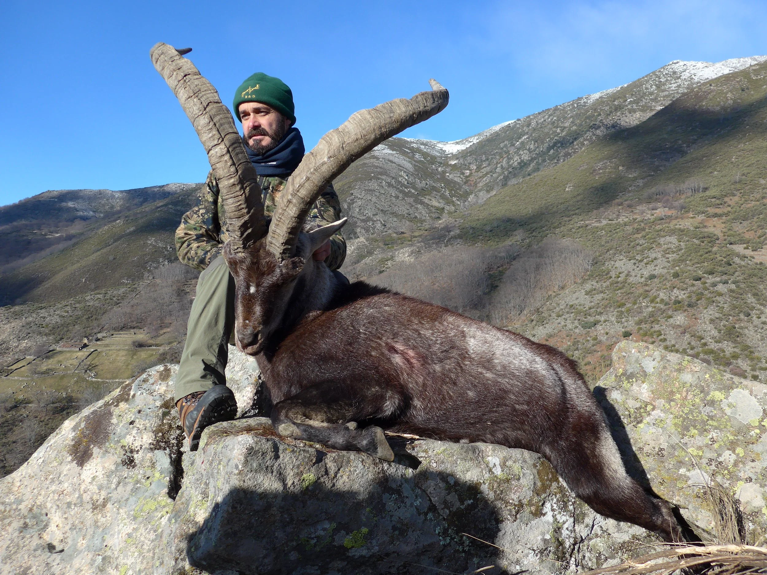 Spanish Ibex Grand Slam — Beceite, Gredos, Ronda and Sierra Nevada (1)