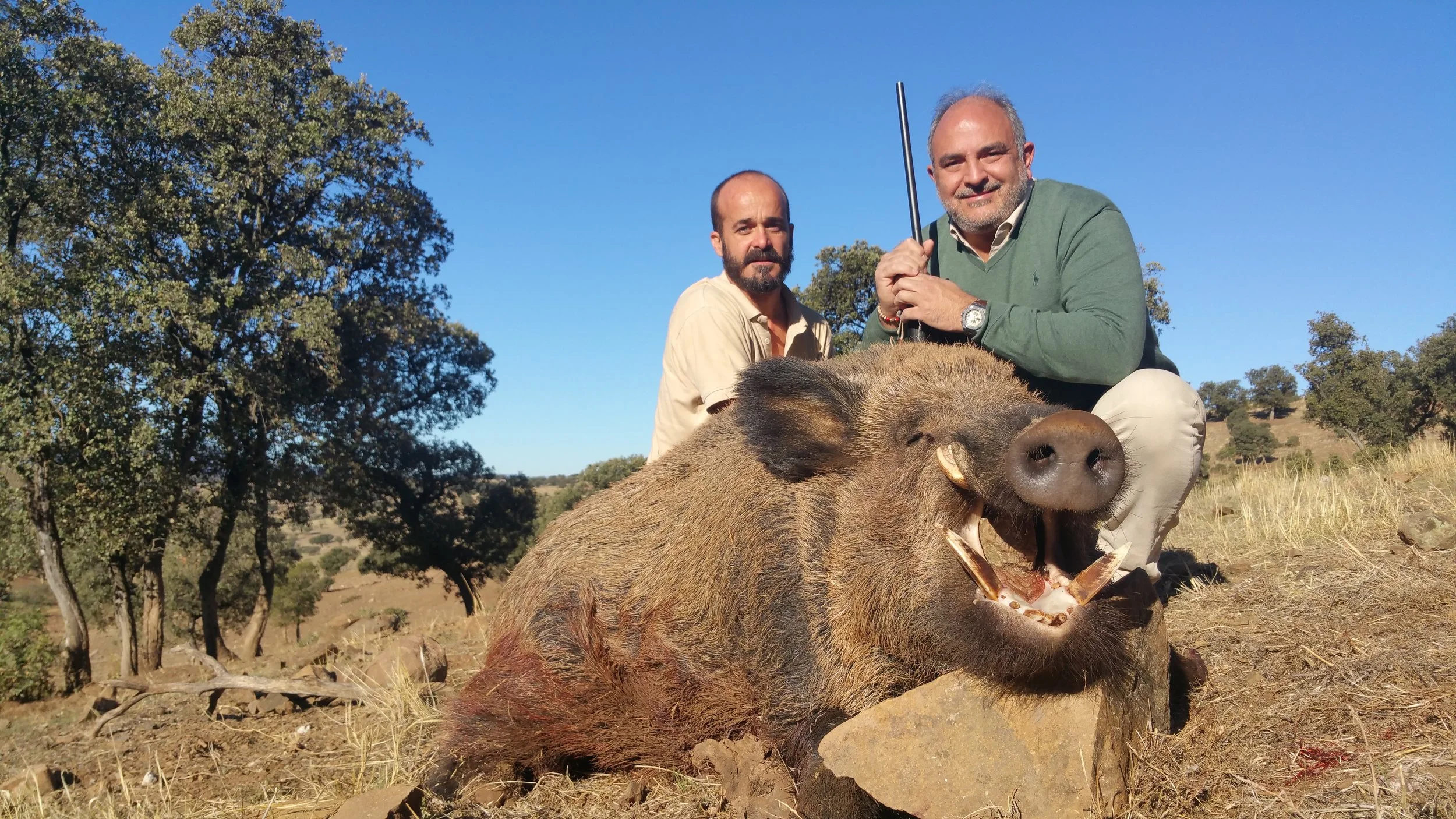 Wild Boar — Driven & Stand — Across Spain (1)