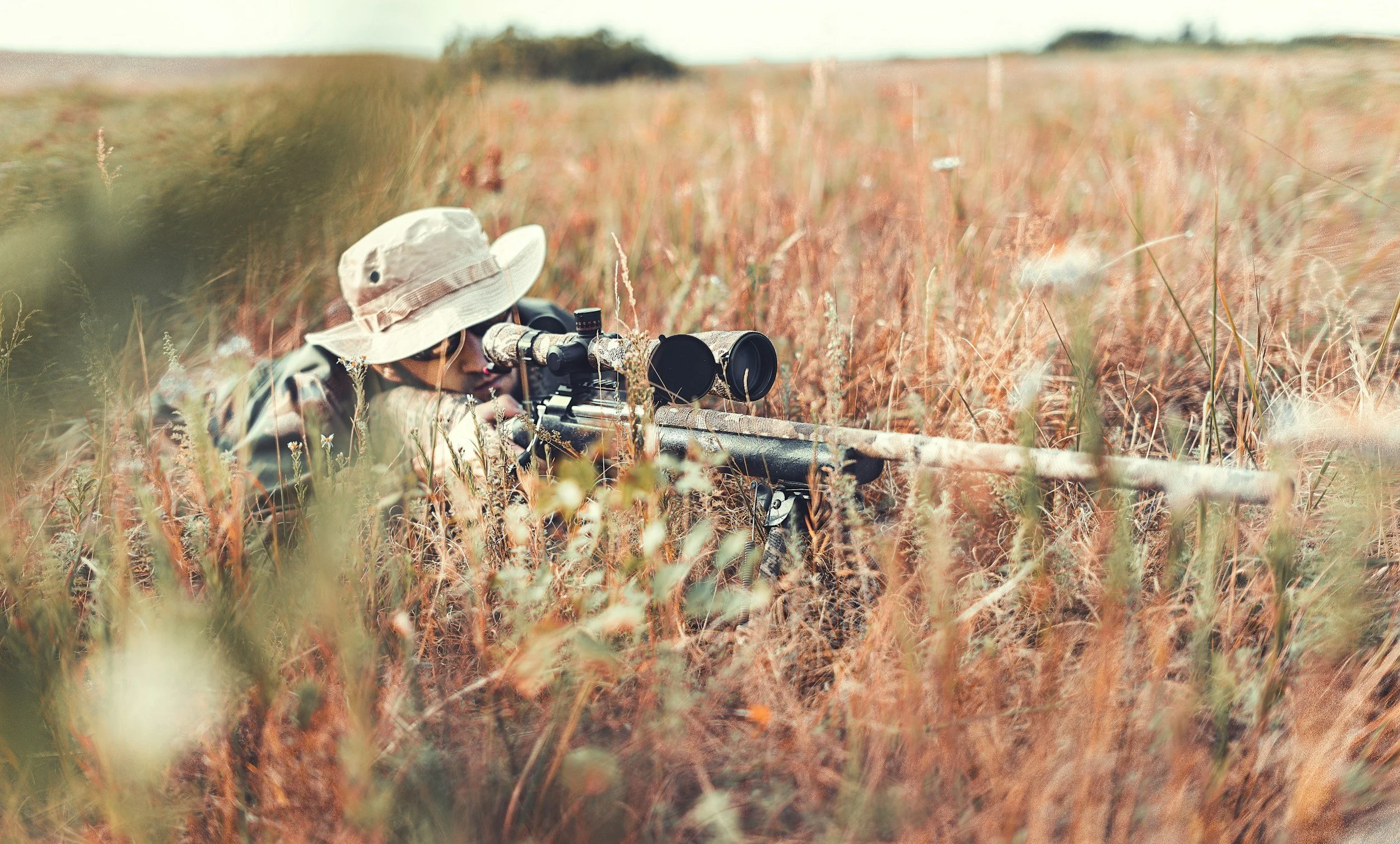 Driven Hunt in Sierra Morena — Sierra Morena (Andalusia) (1)