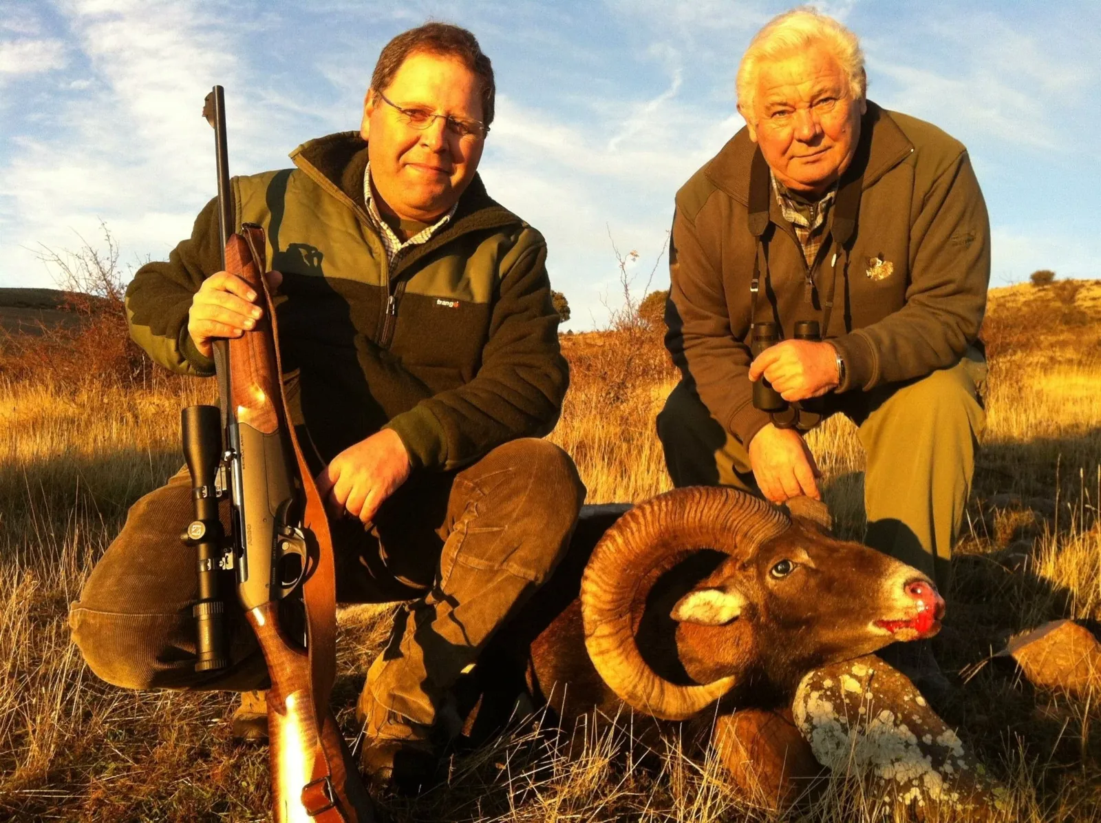 Iberian Mouflon — Central and Southern Spain (3)
